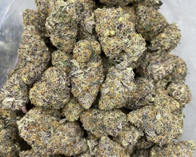 DIABLO GELATO (EXOTIC) - Image 4